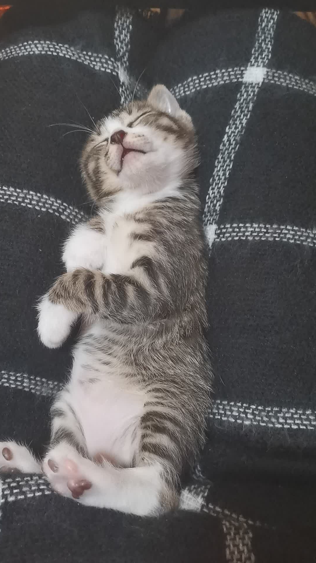 KY开元·(中国)集团