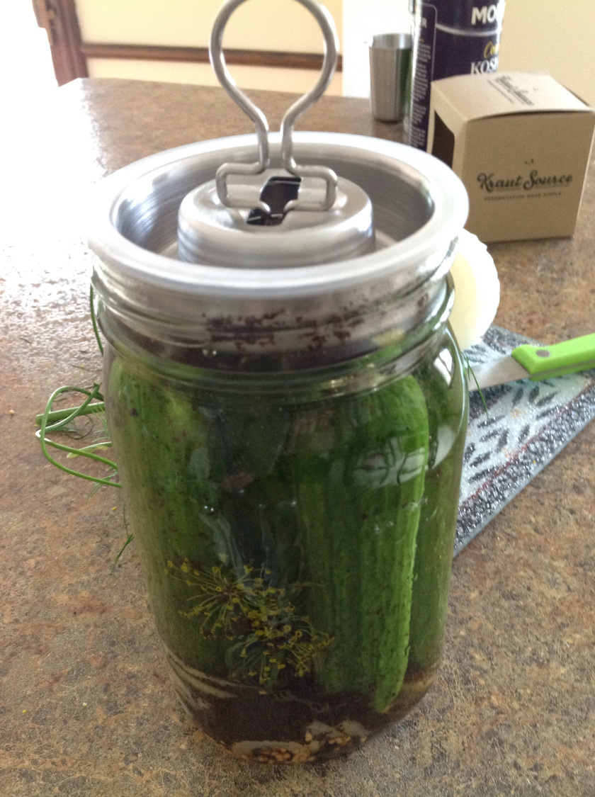 暗黑者3陆飘飘结局是什么 她可能成为罗飞官配|KY开元·(中国)集团(图4) ky开元集团官网入口