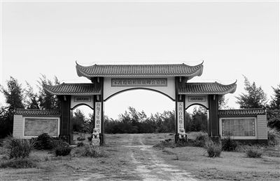 暗黑者3陆飘飘结局是什么 她可能成为罗飞官配|KY开元·(中国)集团(图3) KY开元集团官网