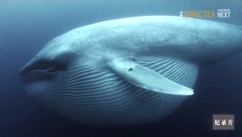 KY开元集团官网