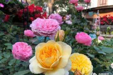 ky开元集团官网入口