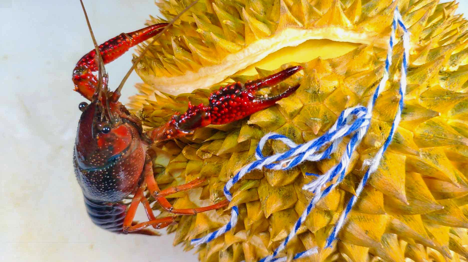 ky开元集团官网入口