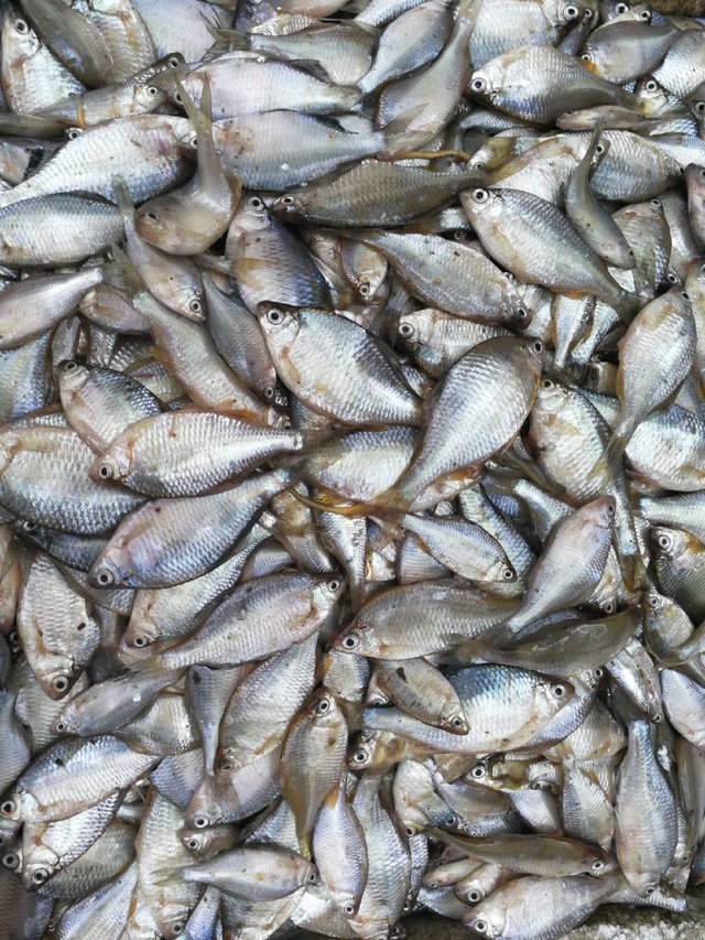 KY开元集团官网