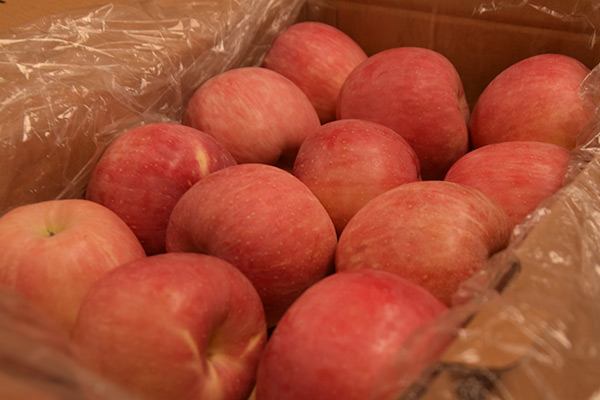 ky开元·(中国)集团官网