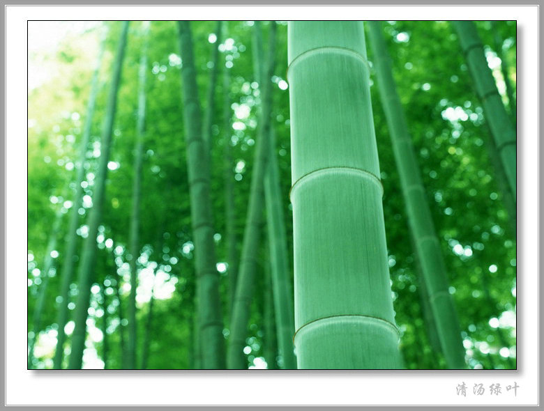 KY开元·(中国)集团_疫情防控,党员先行——济南市莱芜实验幼儿园党员在行动(图3) ky开元·(中国)集团官网