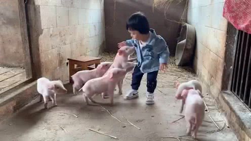 KY开元集团官网