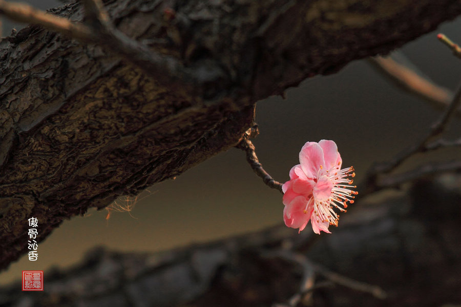 ky开元集团官网入口