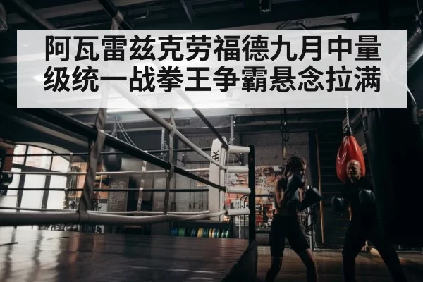 boxer training